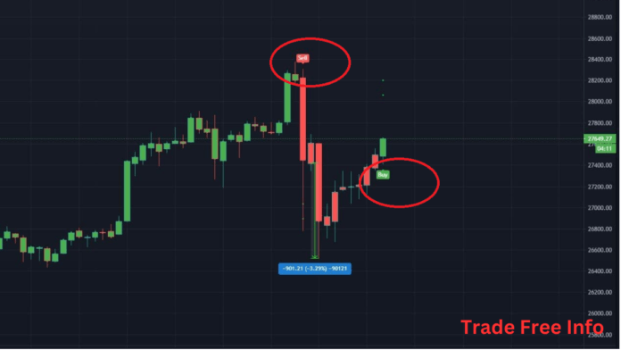 Crypto Trading Signals for beginners 2024