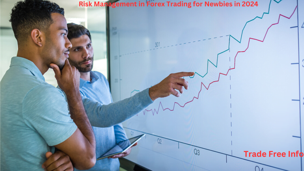 Risk Management in Forex Trading for Newbies in 2024